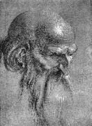 Albrecht Durer Head of an Apostle Looking Downward oil on canvas